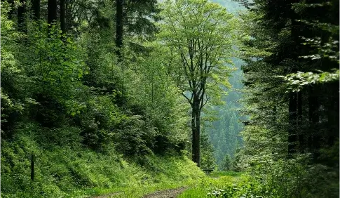 Gestion des ressources naturelles